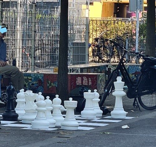 schaken schaken