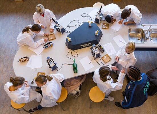 cygnus_leren_anders_02